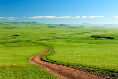 the muzigler river valley of hulunbuir grassland of china.