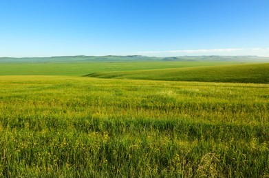 the muzigler river valley of hulunbuir grassland of china.