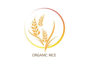 vector logo  label or package with yellow rice  wheat  rye grains. concept for asian agriculture  organic cereal products  bread and bakery factory.vector icon eps10.