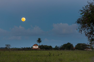 full moon on the farm