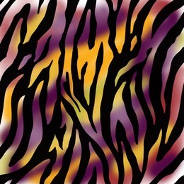 animal pattern, zebra pattern, zebra print, colorful