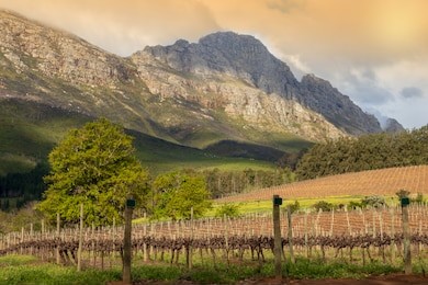 scenery in the wineland around stellenbosch. stellenbosch is a very well known city for winemaking. there are some farms where you can taste and buy wine direct from the winegrower. 