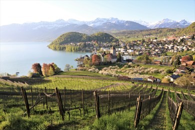 sunrise in spiez - switzerland
