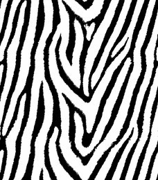 zebra seamless pattern, fashion background, vector
