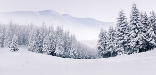 panorama of the foggy winter landscape in the mountains