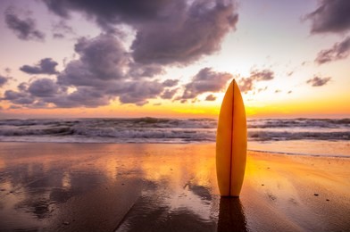 surfboard on the beach in sea shore at sunset time with beautiful light. water sport background