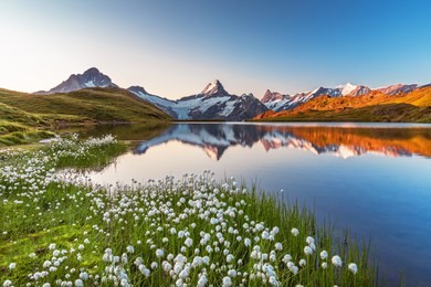 morning reflection view on bernese range above bachalpsee lake. popular tourist attraction. location place swiss alps, grindelwald valley, europe. artistic picture.
