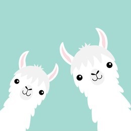 two llama alpaca animal set. face neck. fluffy hair fur. cute cartoon funny kawaii character. childish baby collection. t-shirt, greeting card, poster template print flat design blue background vector