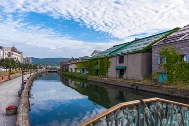 it is a roof, a pine tree and a blue sky, as seen from the bottom of the "goryu rokkakudo" in ibaraki, a landscape of okakura tenshin, a japanese artist. it is a wonderful contrast.