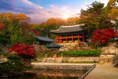 autumn in changdeokgung palace in seoul  south korea 