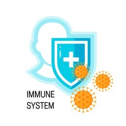 immune system concept. head with shield and viruses in front of it