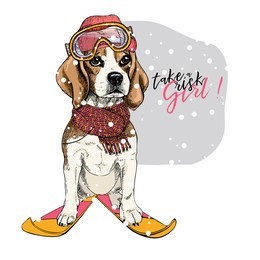 hand drawn portrait of skiing beagle dog wearing hat, goggles and scarf. vector christmas illustration. colored puppy. xmas, new year. greeting card, party flyer, invitation banner. winter holiday.