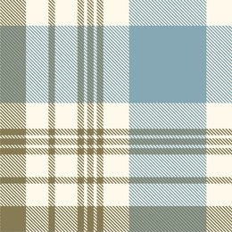 tartan plaid pattern. seamless fabric texture print. 