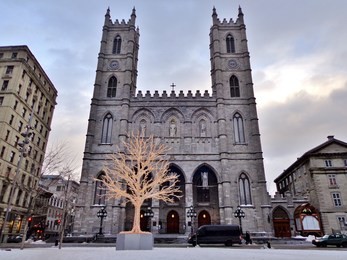 notre-dame basilica in downtown montreal, canada (christmas/ winter) 