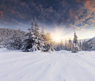beautiful winter landscape in the mountains. sunrise