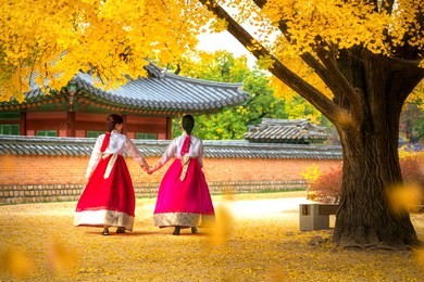lady in hanbok dress walk in seoul palace in ginkgo autumn garden, seoul city, south korea