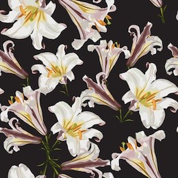 beautiful white lilies flowers in watercolor style. seamless pattern on black background.