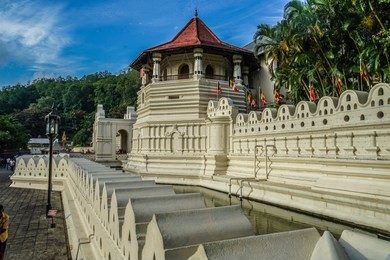 sri lanka kandy townscape (perahera festival)