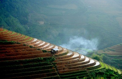 a little house in terraced field