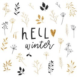 beautiful wreath and lettering in glitter. winter card with branches, berries and winter slogan. hello winter card. in gold black and white colors. vector collection