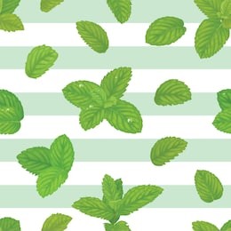 seamless pattern with green mint leaves and dew on graphic background template. vector set of herbal element for advertising, packaging design of mint products.