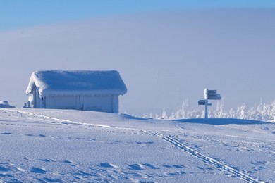 frozen landscapes in lapland during winter, covered by snow and ice in the cold.