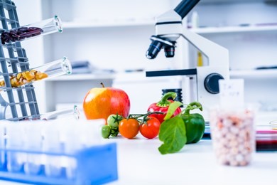 chemical laboratory of the food supply . food in laboratory, dna modify .gmo genetically modified food in lab 