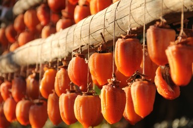 dried persimmon.traditional japanese food.