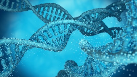 deoxyribonucleic acid (dna) chains