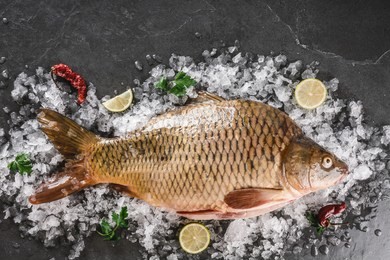 fresh raw mirror carp fish with spices, lemon on ice over dark stone background. creative layout made of fish, seafood, top view, flat lay