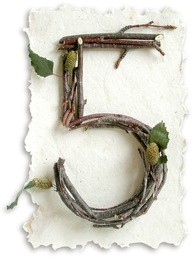 photograph of natural twig and stick number 5