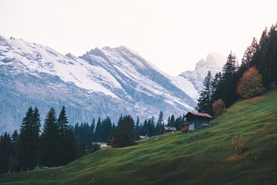 views of jungfrau on the hike to schilthorn