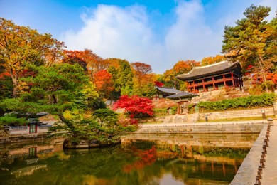 changdeokgung palace in autumn in seoul  south korea 
