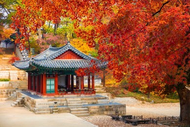 changdeokgung palace in autumn seoul  south korea 