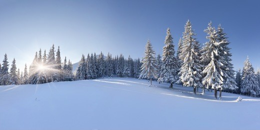 panorama of the winter morning in the mountains