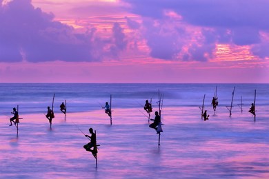 fishermen on stilts in silhouette at the sunset in galle, sri lanka