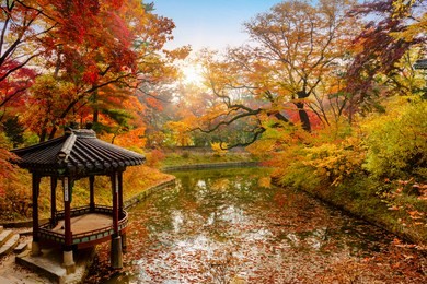 changdeokgung palace in autumn seoul  south korea 