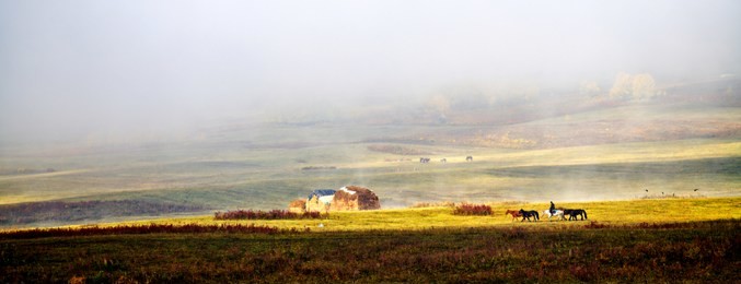 autumn scenery in kanas region of northwestern china.