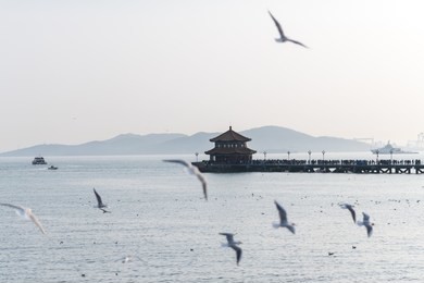 the chinese wooden pontoon bridge of qingdao city