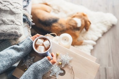 woman hands with cup of hot chocolate close up image; cozy home; sleeping dog; christmas time