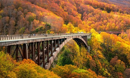 jogakura bridge in aomori prefecture with autumn leaves background. a wonderful view of jyogakura-keiryu stream, a famous place in the towada-hachimantai national park