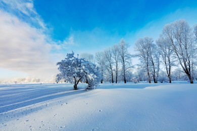 winter landscape. cold day.