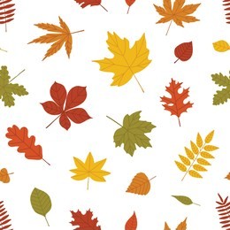 natural seamless pattern with autumn fallen leaves of forest trees on white background. bright colored botanical seasonal vector illustration in flat style for wrapping paper, wallpaper, fabric print.