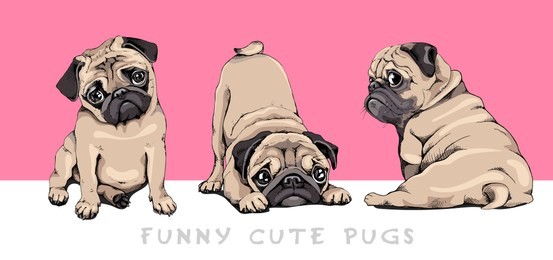 adorable beige pug puppies on a pink background. humor set, hand drawn style print. vector illustration.