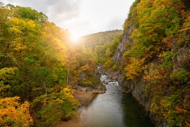 colourful forest on autumn season in jozankei, the famous plase in hokkaido, japan.