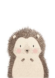 cute image vector illustration of adorable hedgehog isolated on white background. hand drawing hedgehog for greeting card, decor for nursery baby and kids room. wallpaper, apparel, invitation, poster