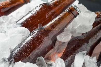 cold icy beer bottles in a cooler with ice