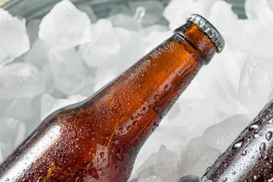 cold icy beer bottles in a cooler with ice