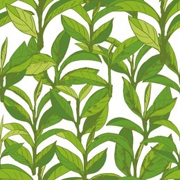 seamless pattern with green tea, hand-drawn leaves and branches of tea