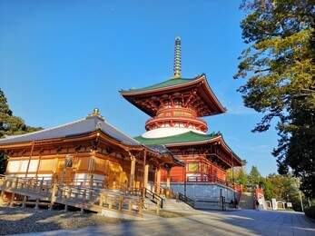 scenic view at naritasan shinshoji temple at narita japan